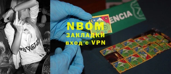 a pvp Бородино