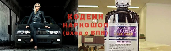 a pvp Бородино