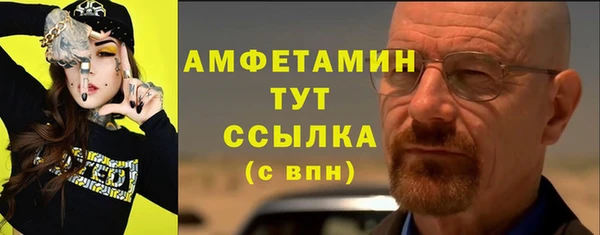 крисы Бронницы