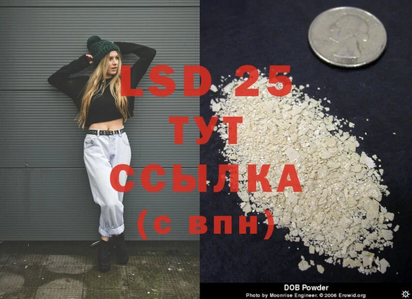 a pvp Бородино