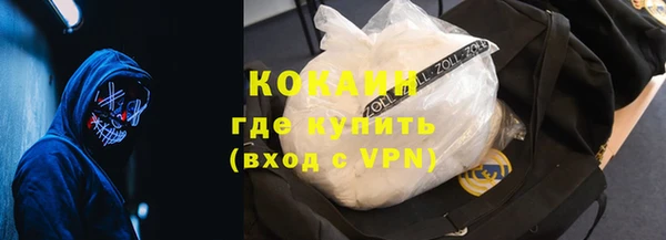 a pvp Бородино