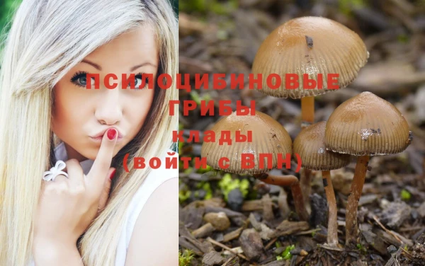 крисы Бронницы