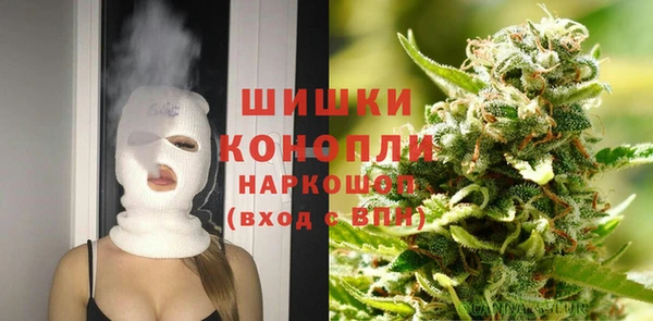 крисы Бронницы