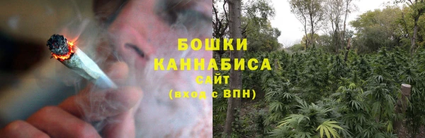 a pvp Бородино