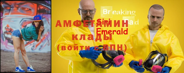 крисы Бронницы