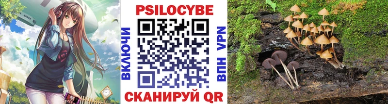Купить где  Ливны  Галлюциногенные грибы мицелий 